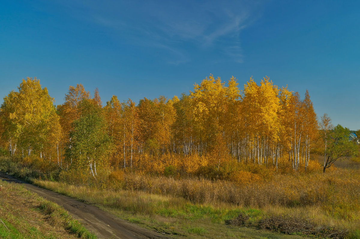 Осень - Александр Смирнов