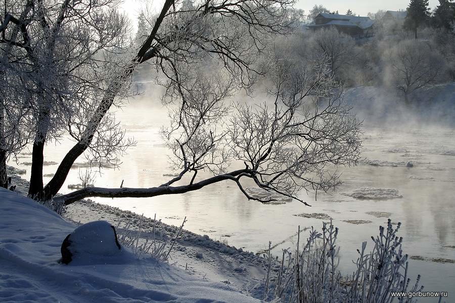 Дубак-январь - Александр Горбунов