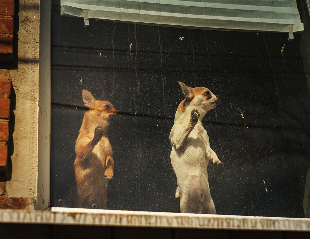 Одни дома - Вадим 