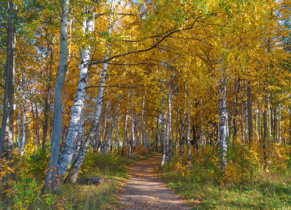 В осеннем парке 2 - Виталий 