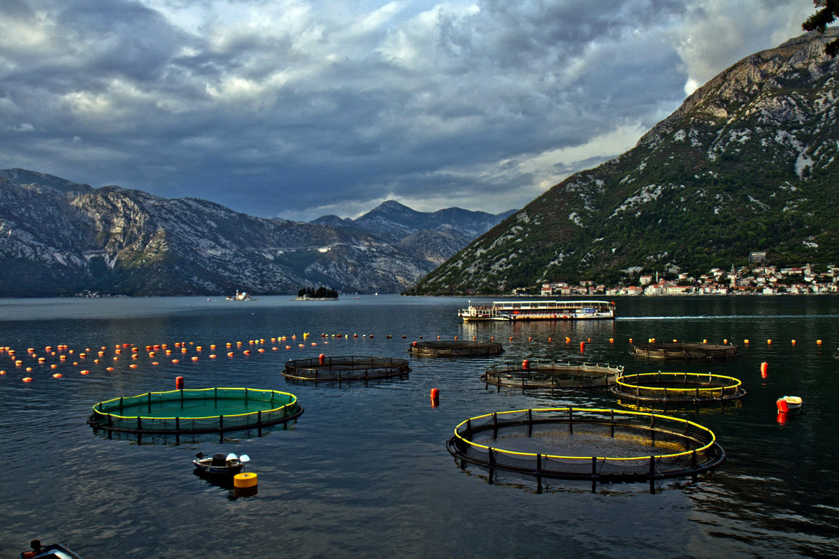 Montenegro- Черногория - Владимир Сарычев