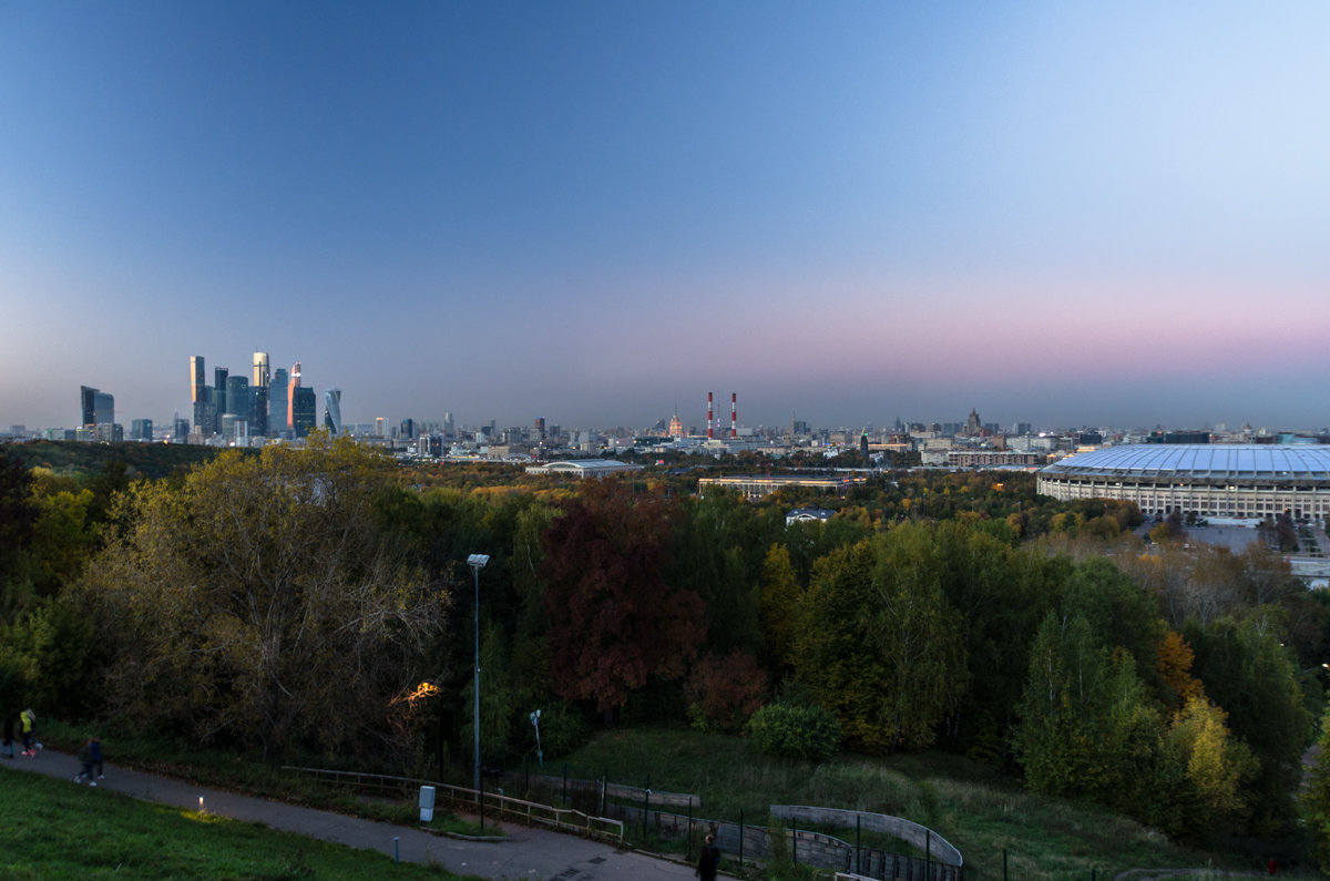 с Воробьевых гор - Лариса *