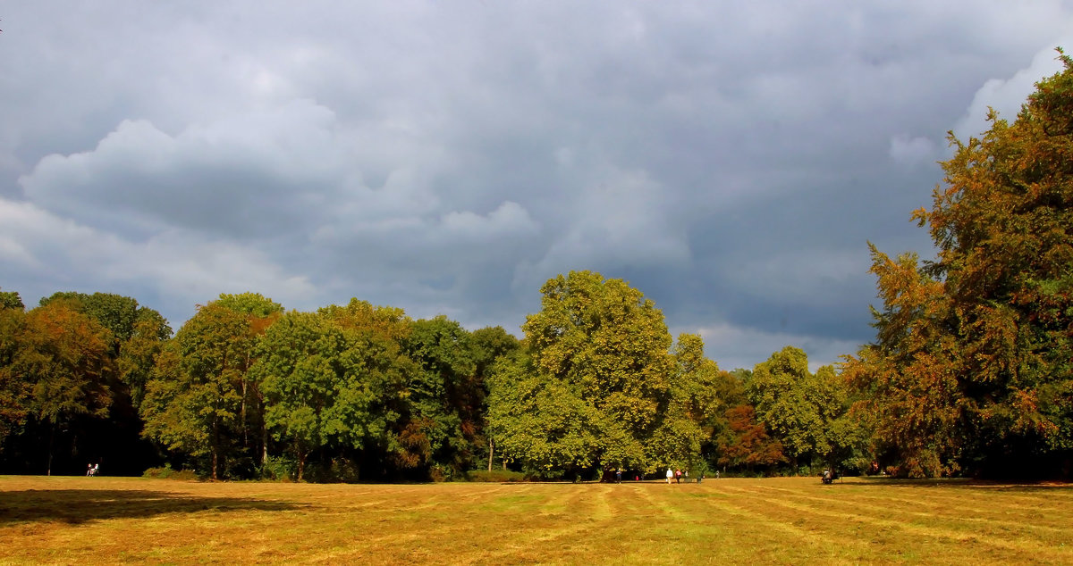 В парке - Alexander Andronik В парке - Alexander Andronik