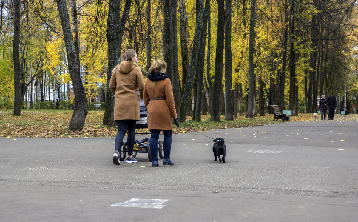 в осеннем парке - gribushko грибушко Николай