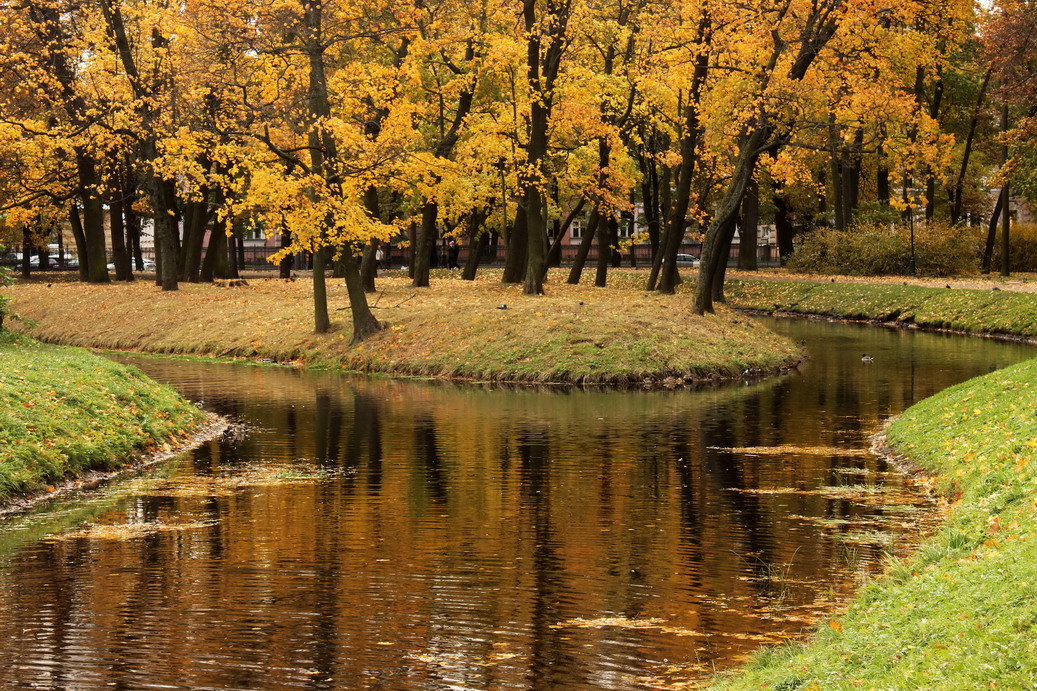 Островок осени - Вера Моисеева