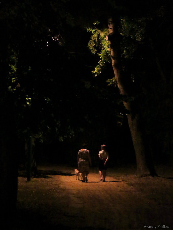 Прогулка с собакой - Анатолий Шулков