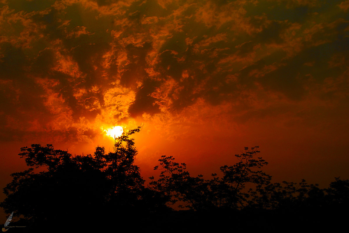 На рассвете ... - Aleks Ben Israel