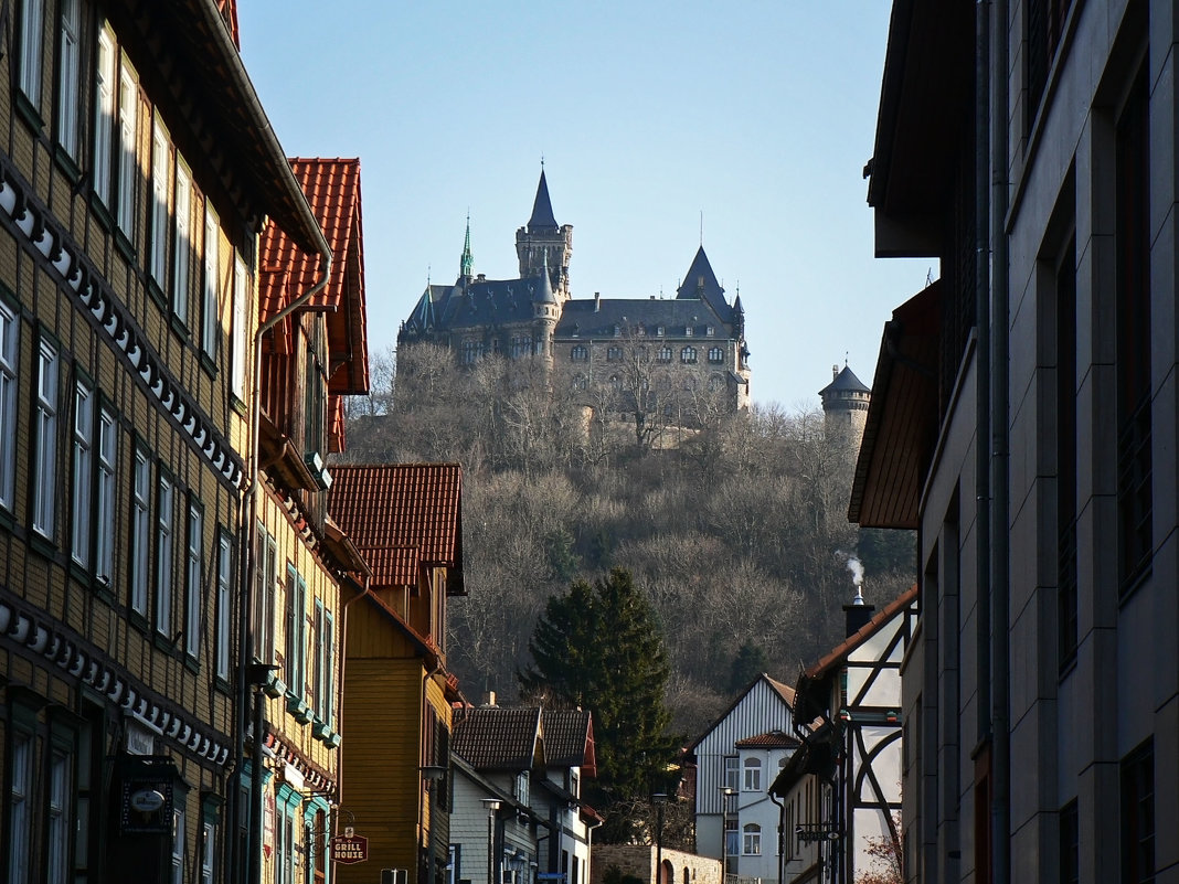 Замок - Антонина Петлевская