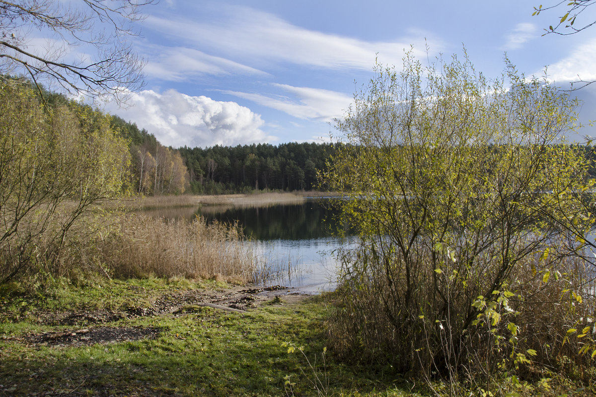 Редкий ноябрьский проблеск..... - Kliwo 