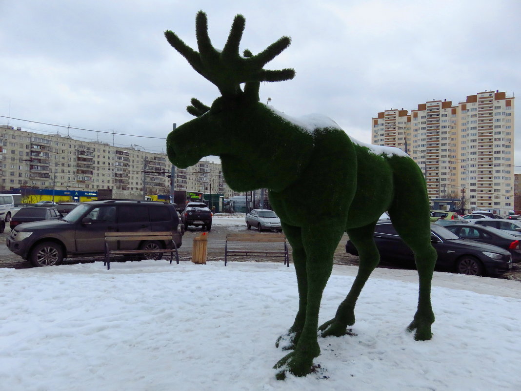 Городской лось (очень мирный) - Андрей Лукьянов