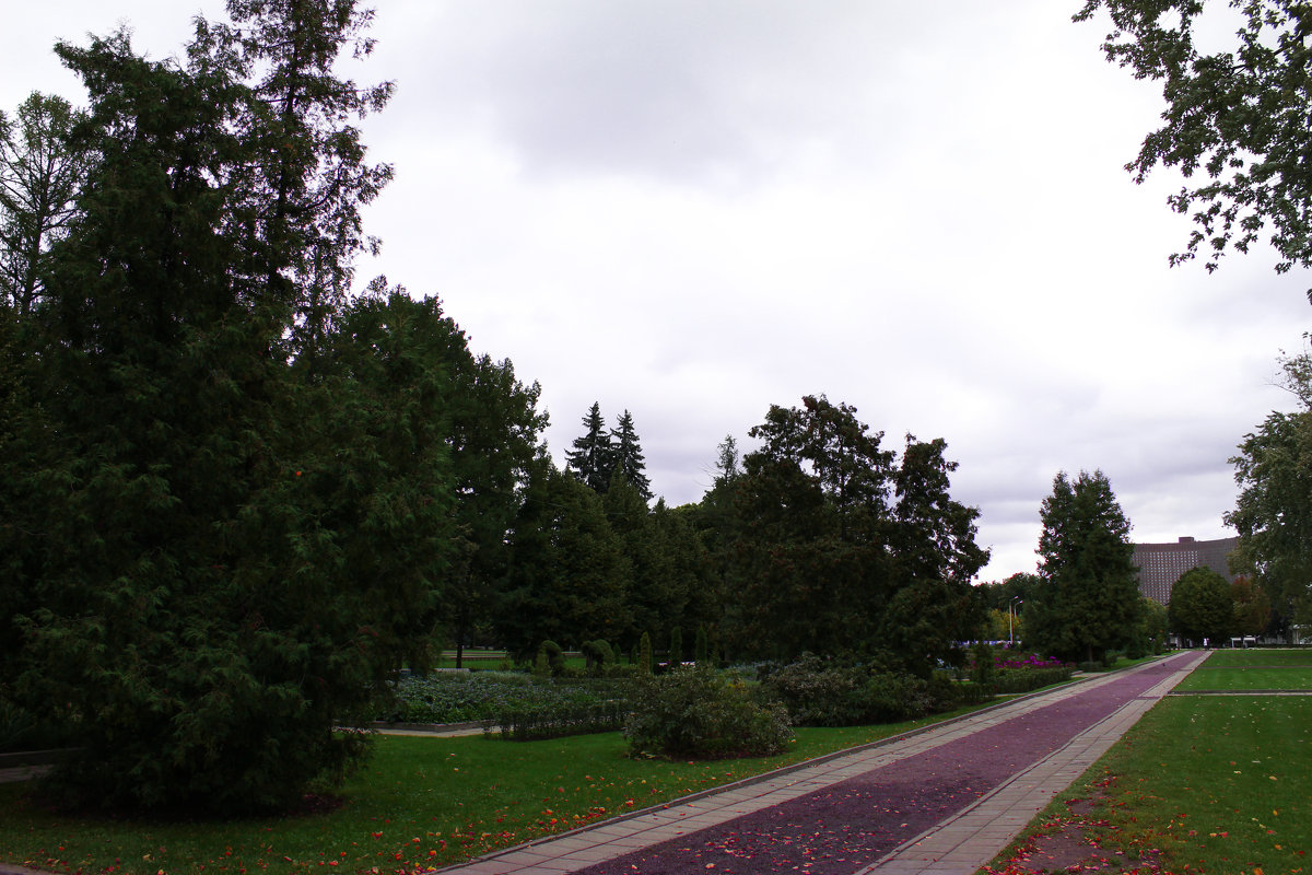 Аллея на ВДНХ - раиса Орловская