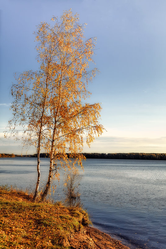 Что стоишь, качаясь.. - Дмитрий Булатов