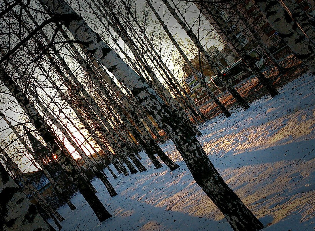 зимнее солнце - Нина Алексеева 