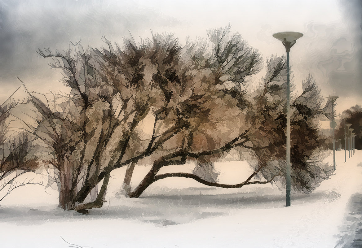 Зима в Пирите - Татьяна Смирнова Зима в Пирите - Татьяна Смирнова