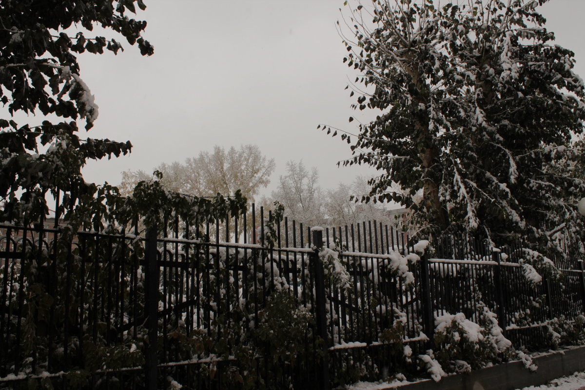 Новосибирск - Олег Афанасьевич Сергеев