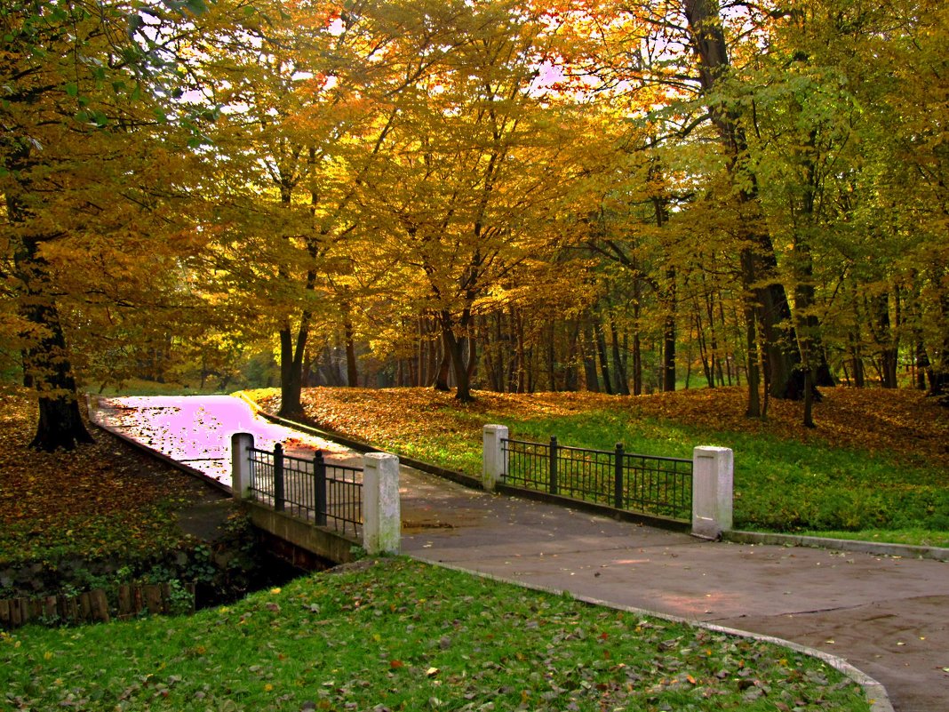 В осеннем парке - Сергей Карачин