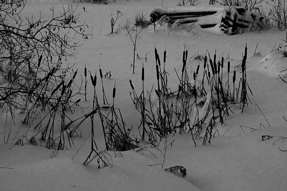 *** - Зинаида Молчанова