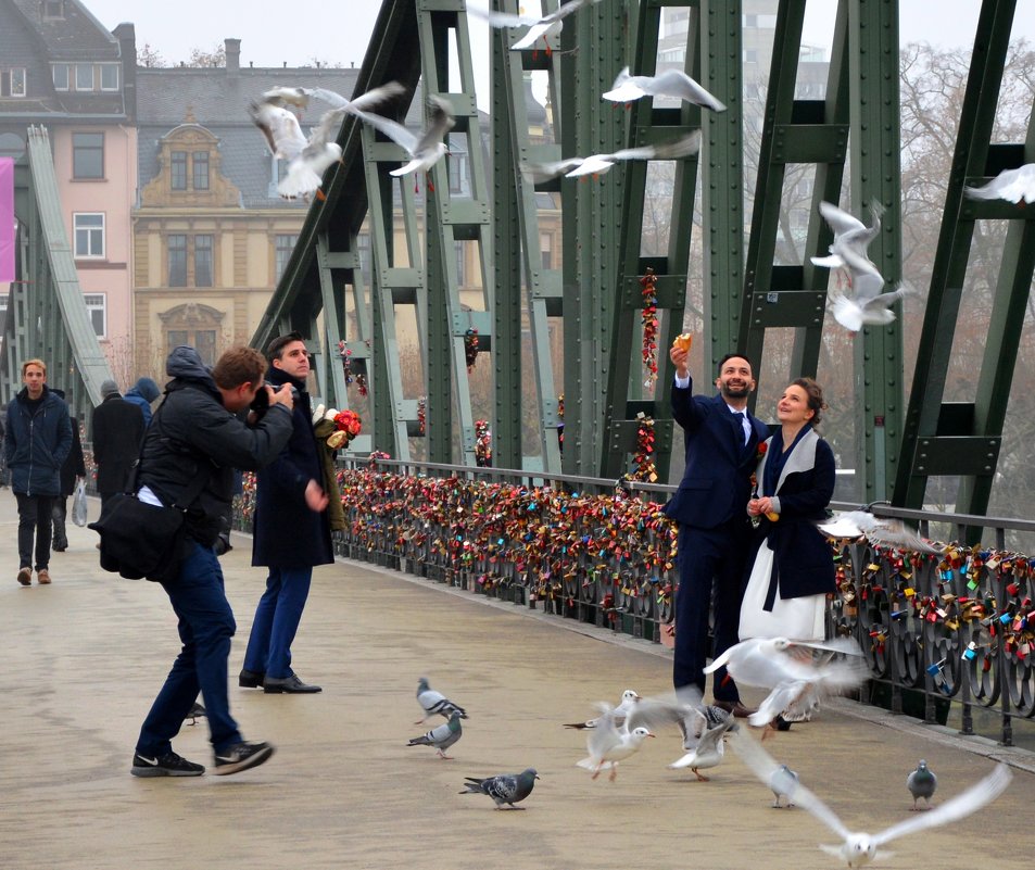 Wedding, Frankfurt, Dec&#39;16 - Olga Chertanovskaya