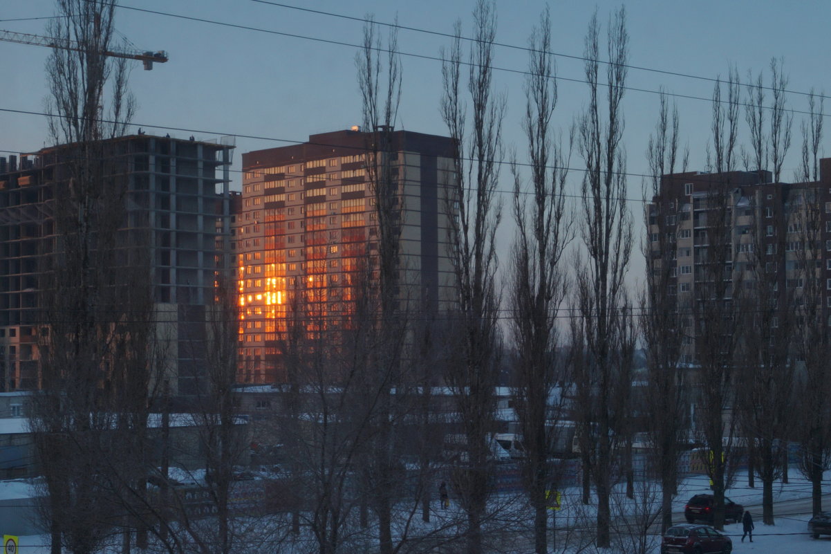 Утро в декабре - София 