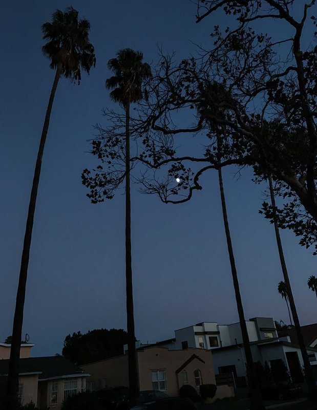 L A - Valera Kozlov L A - Valera Kozlov