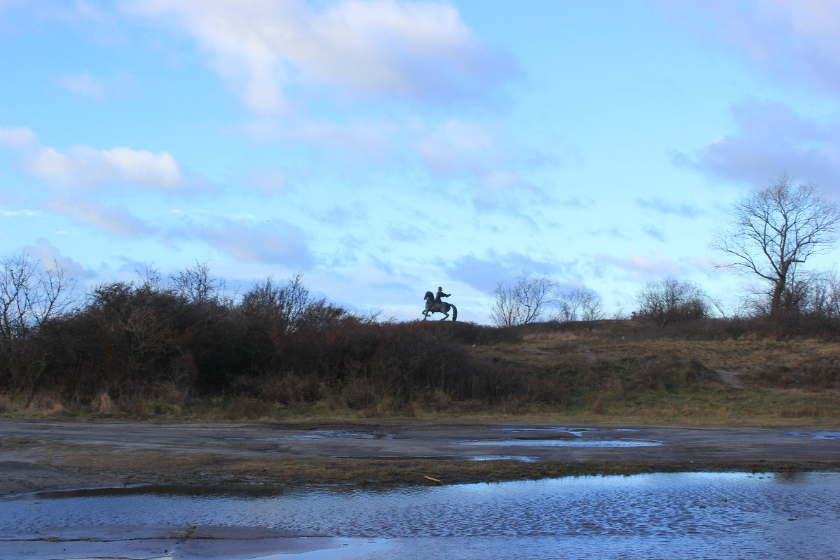 Елизавета Петровна скачет в дюнах - Марина Домосилецкая Елизавета Петровна скачет в дюнах - Марина Домосилецкая