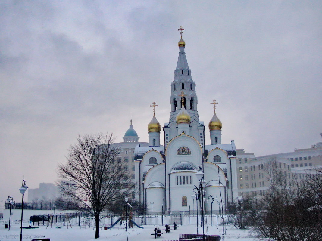 Новый храм - Лара Симонова 