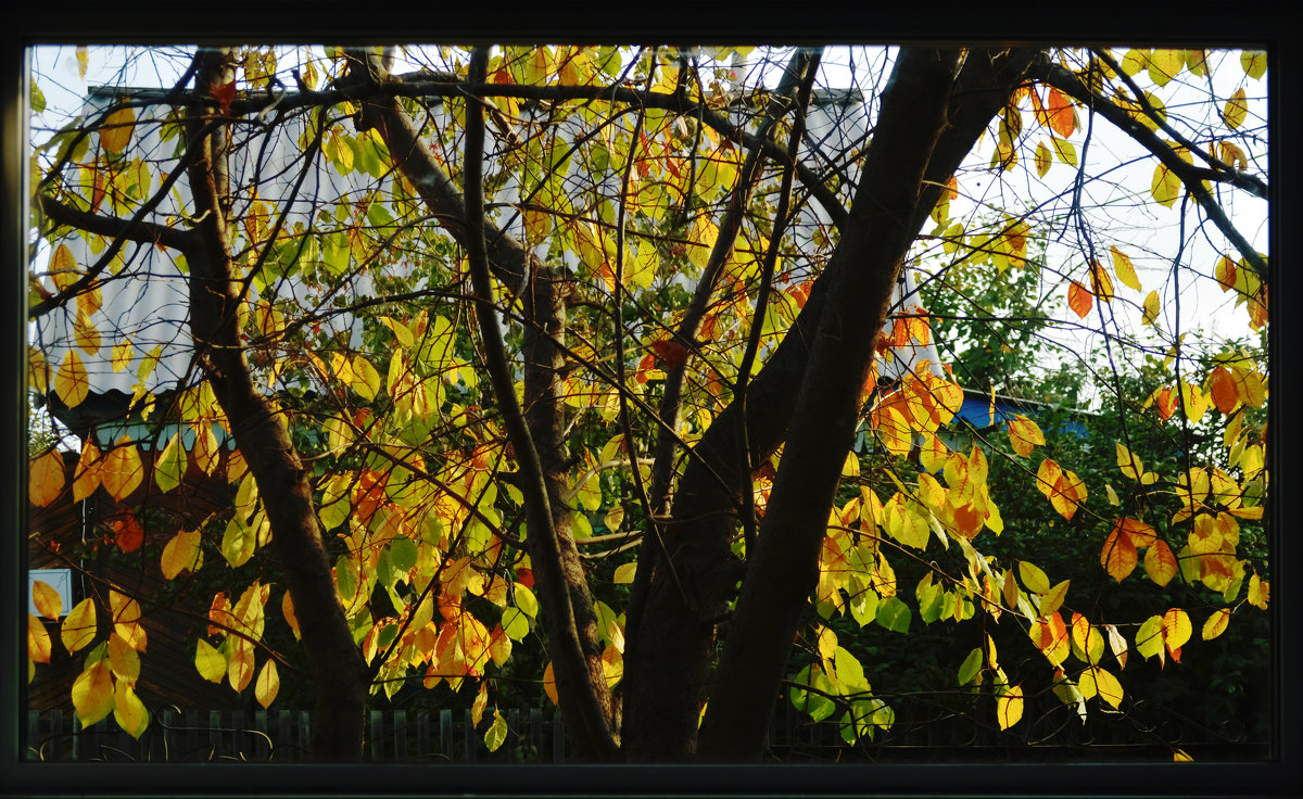 За окном. - Александр Ефремов За окном. - Александр Ефремов