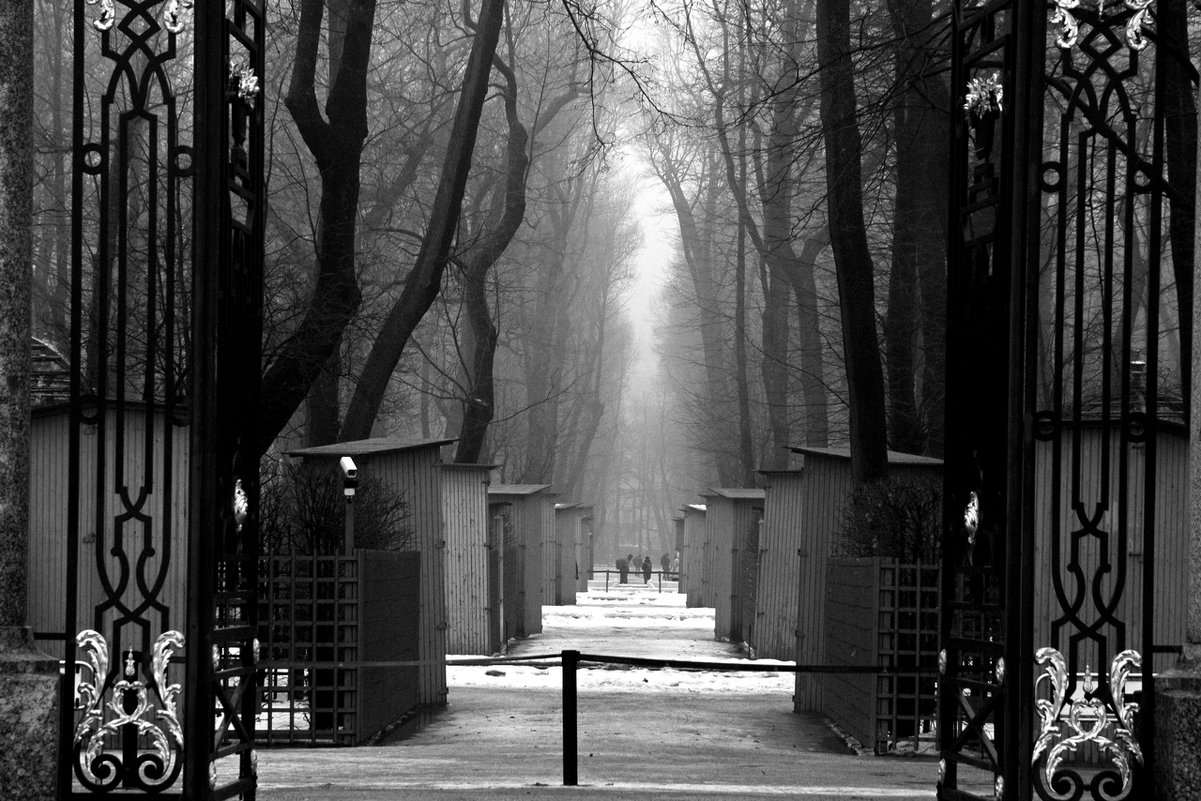 Январская оттепель.. - tipchik 