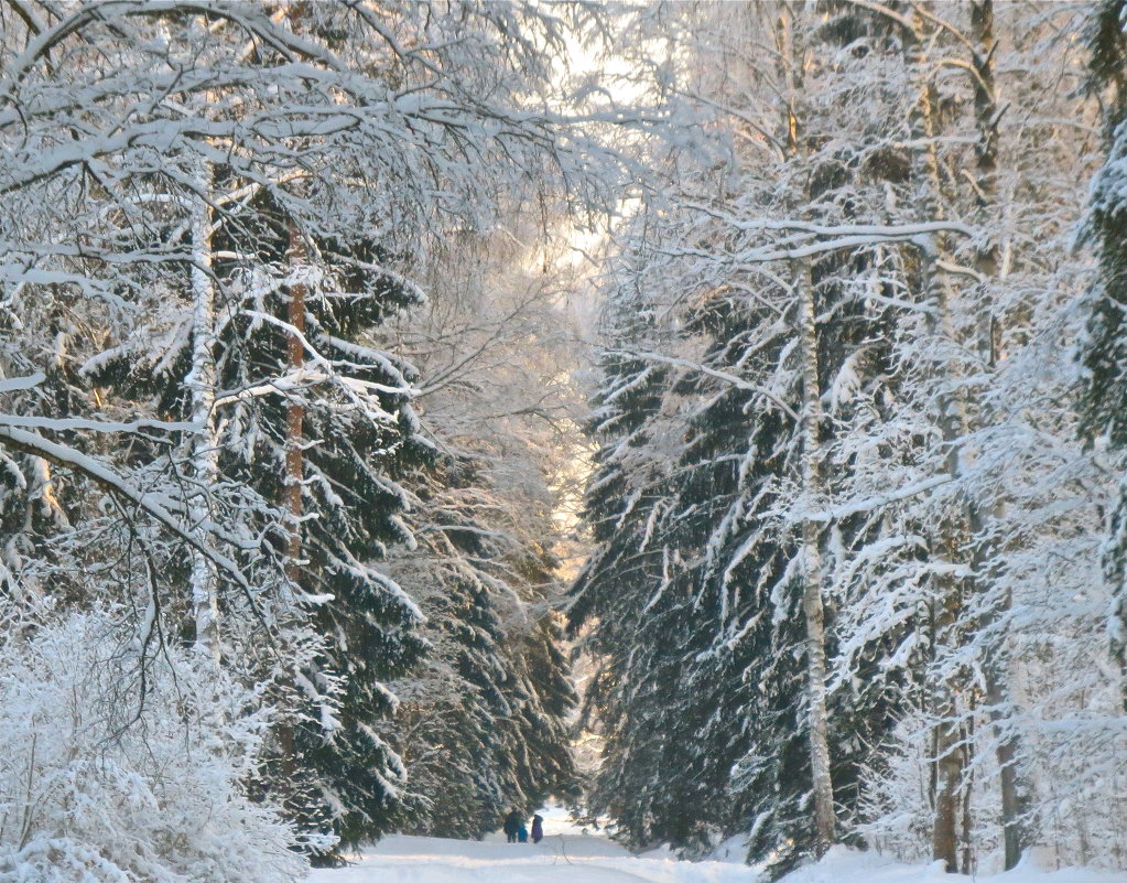 микролюди и макродеревья - Елена микролюди и макродеревья - Елена