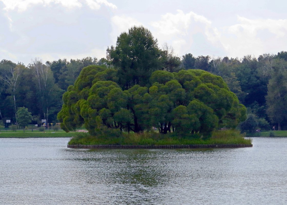 Островок - Вера Щукина