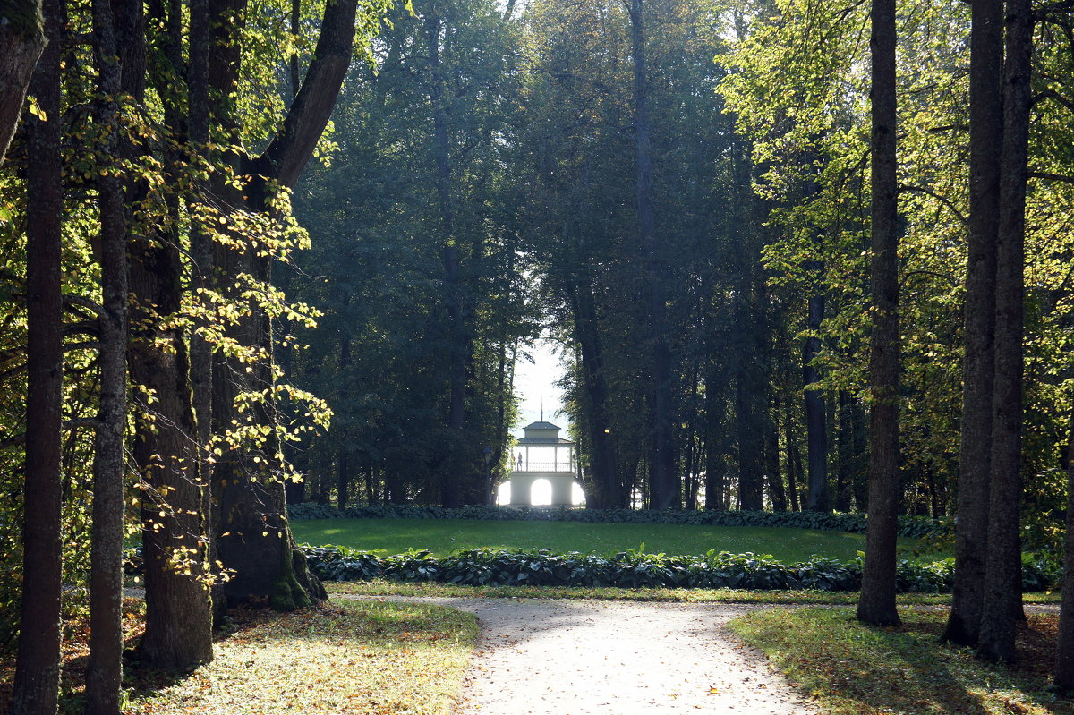 Главная липовая аллея с дерновым кругом заканчивается беседкой-гротом - Елена Павлова (Смолова) Главная липовая аллея с дерновым кругом заканчивается беседкой-гротом - Елена Павлова (Смолова)