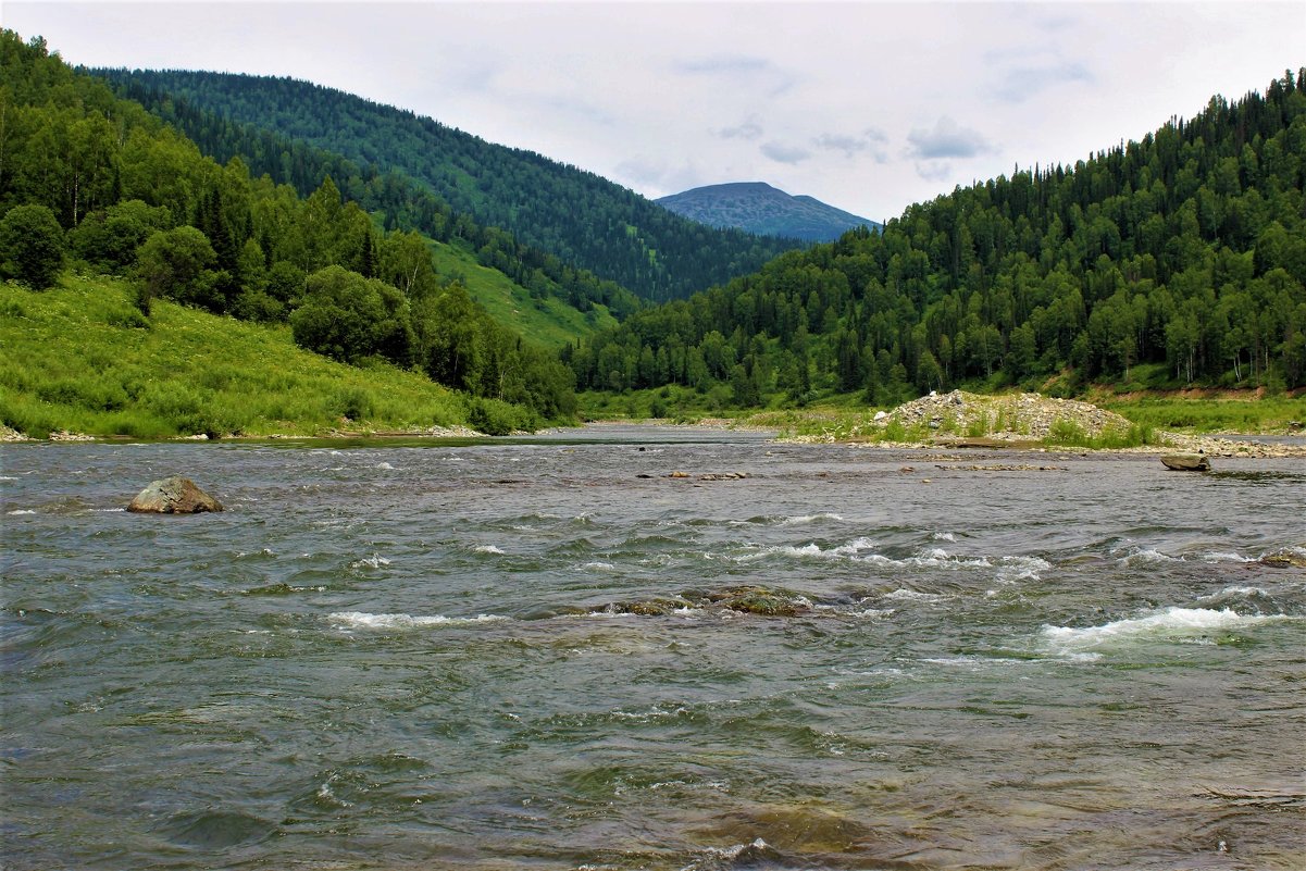 Где стоит хариус - Сергей Чиняев 