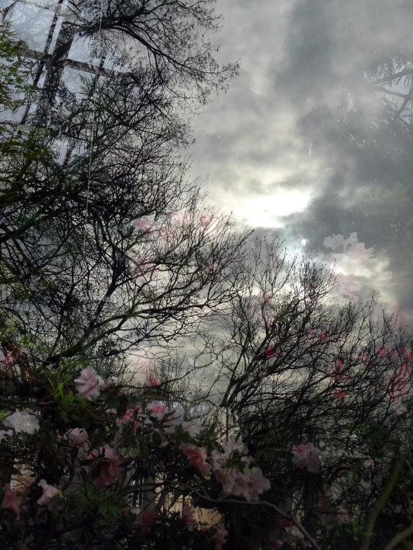 Отражение - Наталия Короткова Отражение - Наталия Короткова