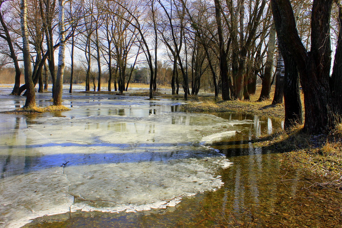 Все весною пахнет! - Валентина ツ ღ✿ღ