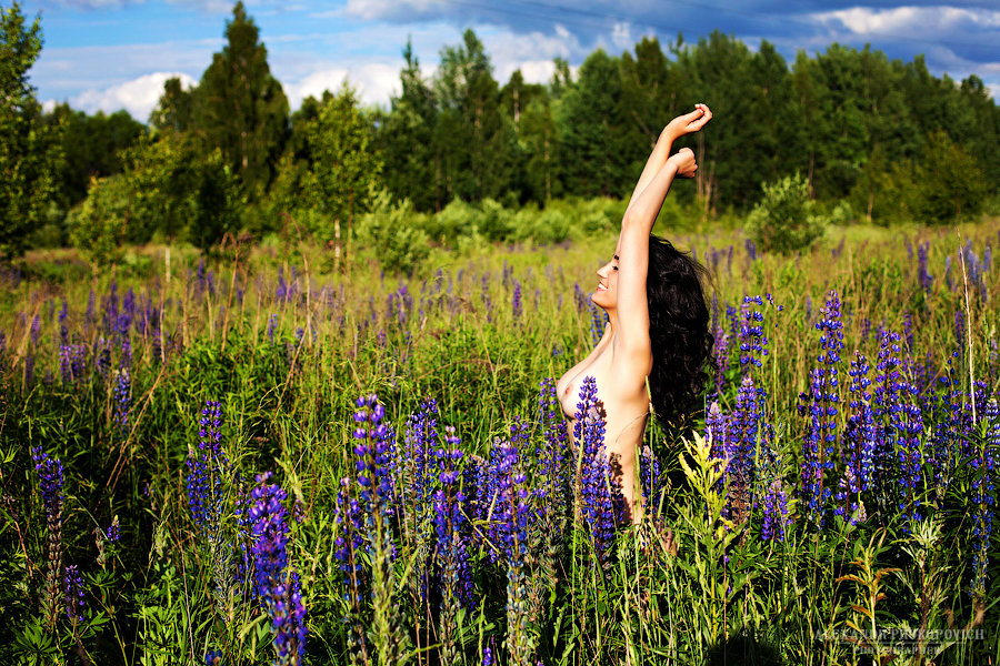 Александра - Александр Прокопович