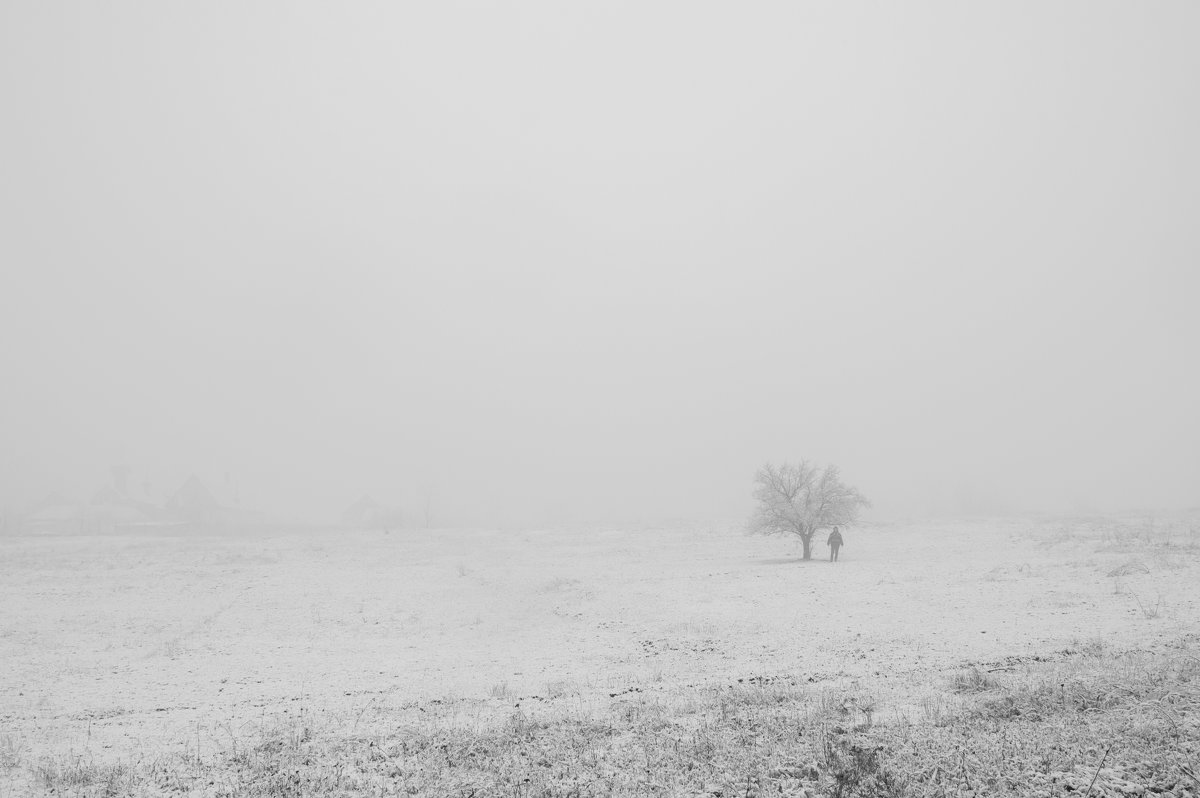 под деревом - Алина Гриб