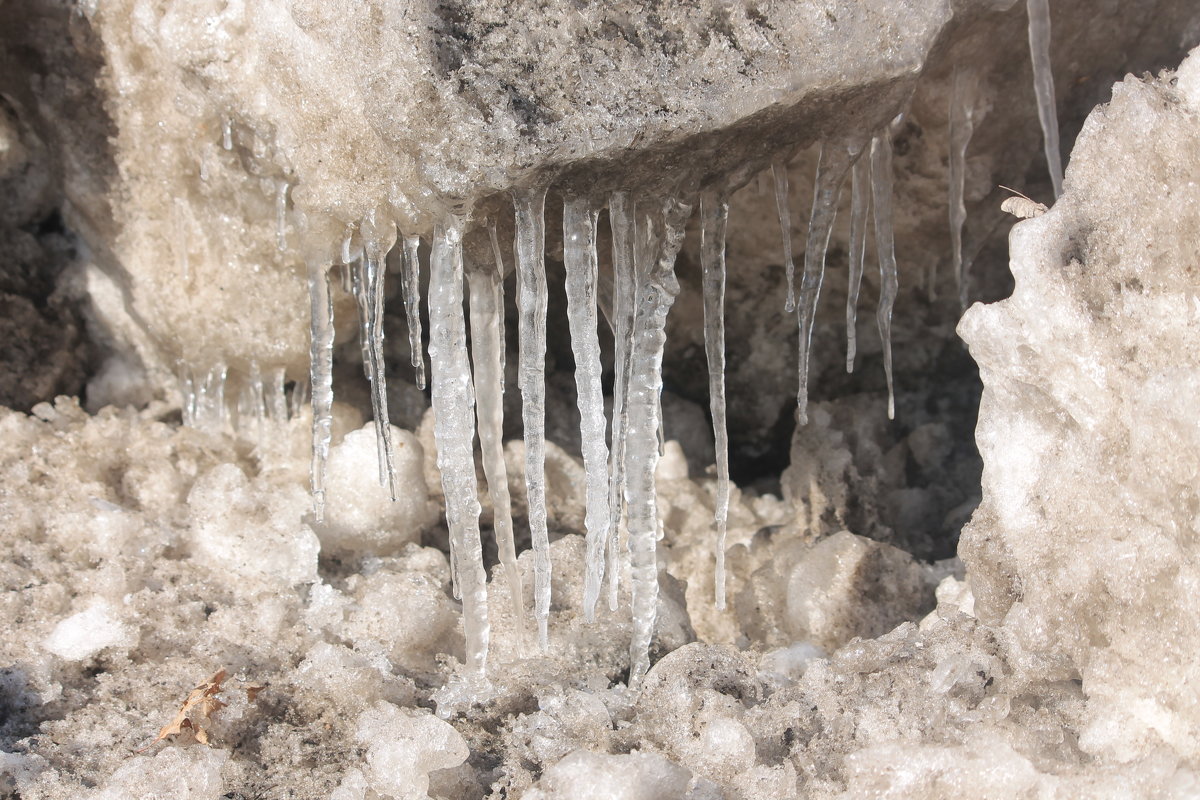 капель - Евгений Гузов