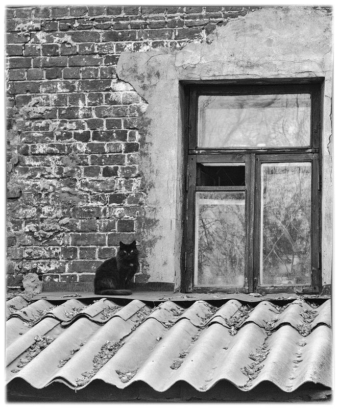 Городские зарисовки. (Район - "Канавино", от: "Кума, вина"!!! - Фёдор Куракин Городские зарисовки. (Район - "Канавино", от: "Кума, вина"!!! - Фёдор Куракин