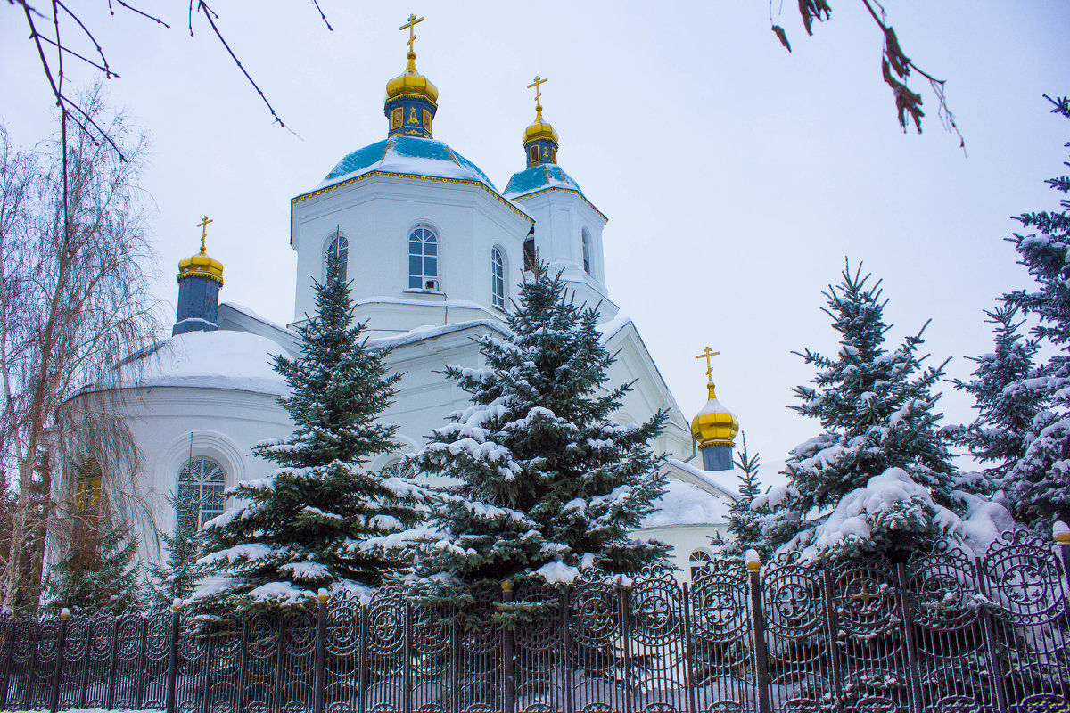 Рождественское утро - Оксана Кузьмина