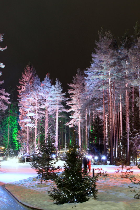 Охта парк - ast62 