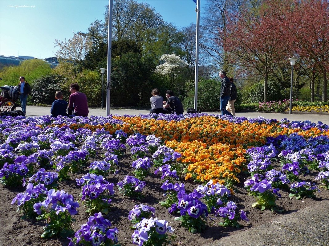 Planten un Blomen. Hamburg - Nina Yudicheva