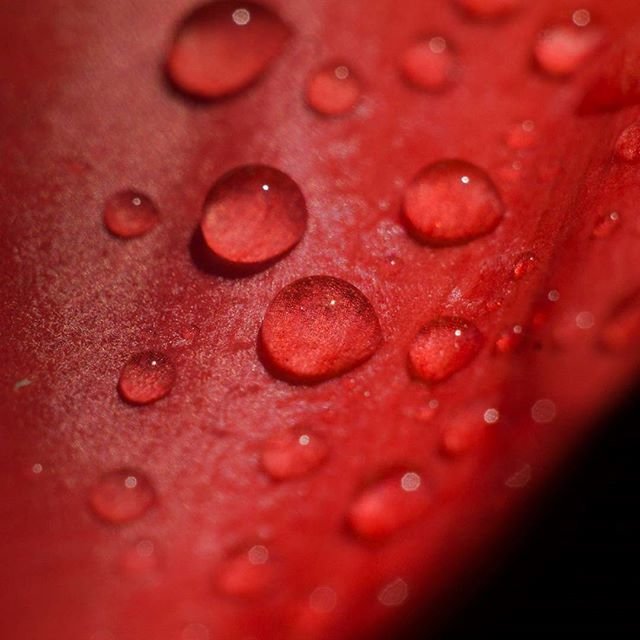 Капли - Павел 