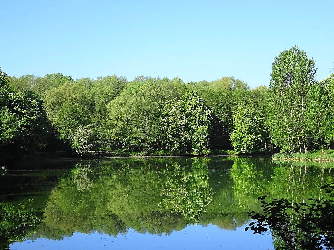 В зеркале воды - Маргарита Батырева