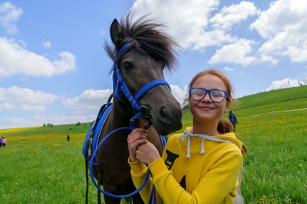 Кабы я была царица, я б купила для себя вот такого вот конька...)))))))))))))))))) - Владимир Хиль