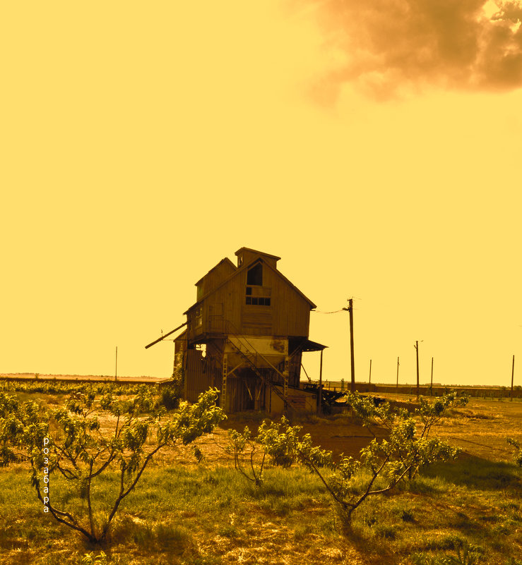 старая жизнь в новом фото - Ксения Черных старая жизнь в новом фото - Ксения Черных