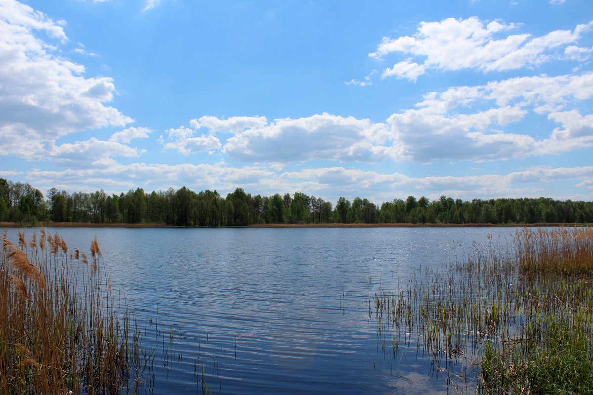 Водные просторы - Милагрос Экспосито