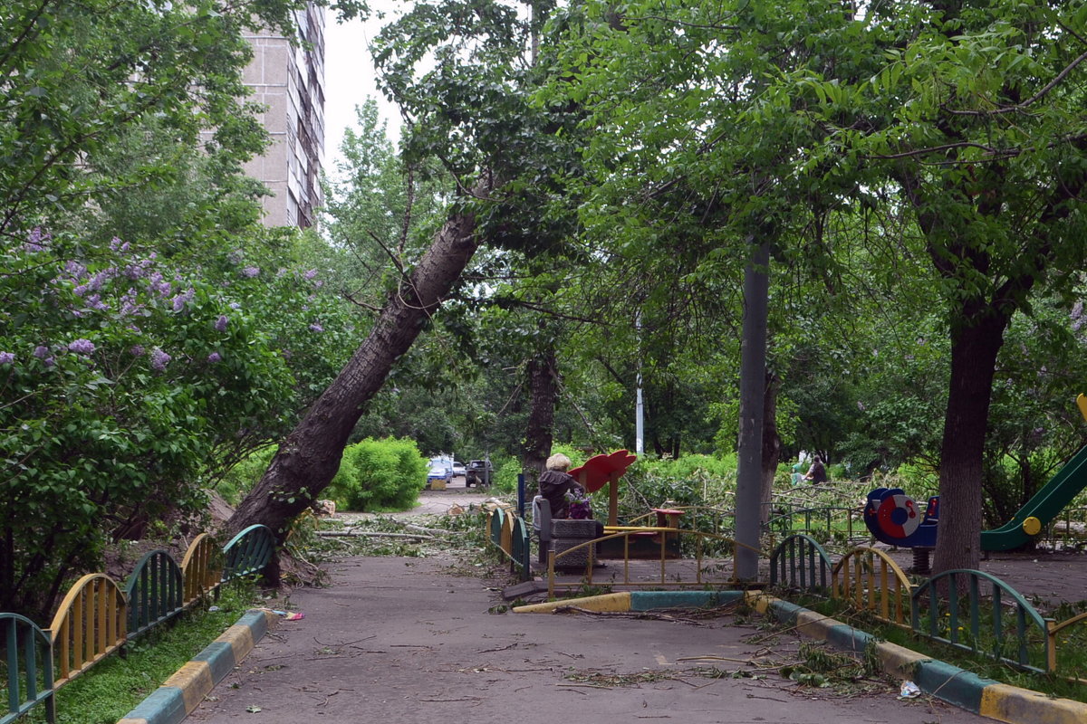 а у нас во дворе... - Галина R...