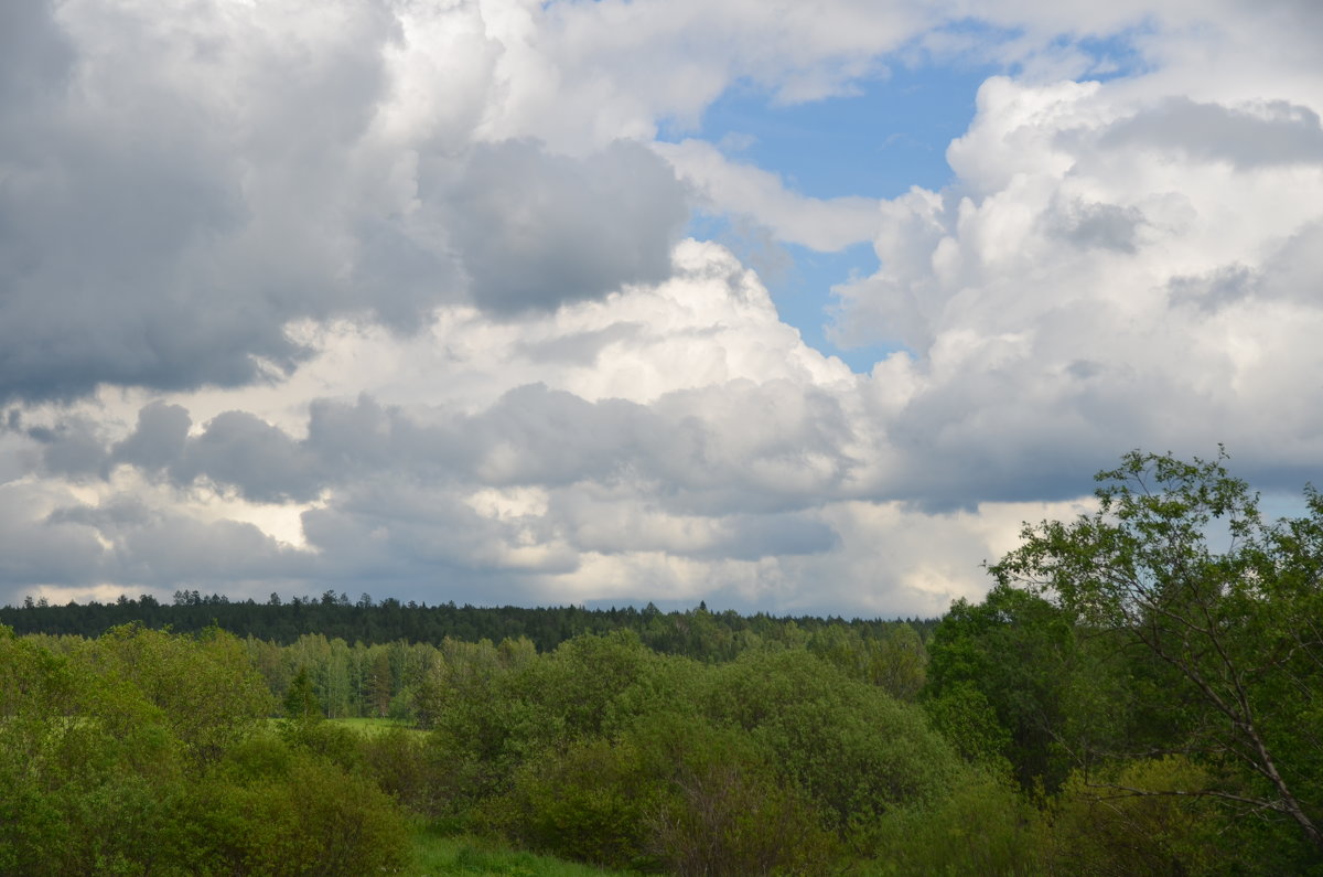 *** - Михаил Новожилов