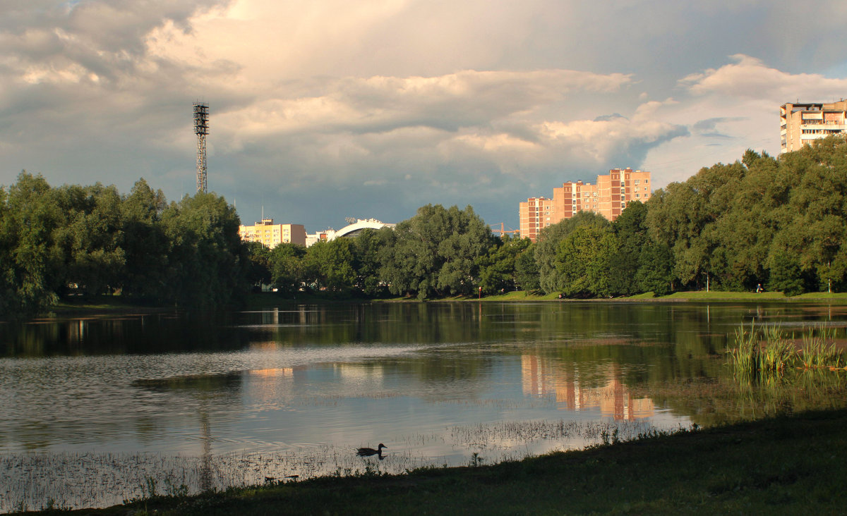 Город, виды.Москва.10.07.2017г. - Виталий Виницкий