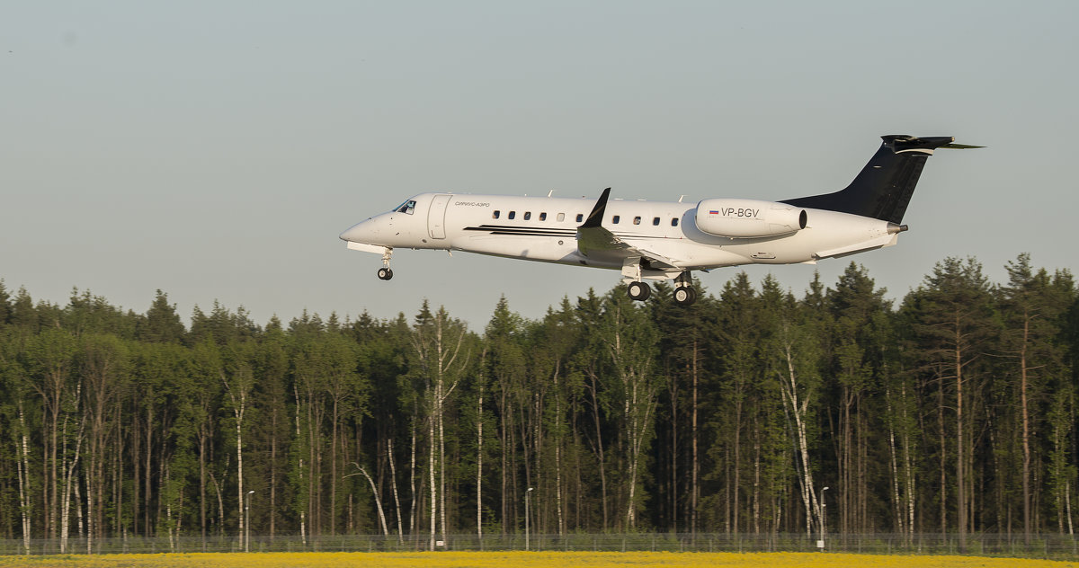 Бизнес - Олег Савин Бизнес - Олег Савин